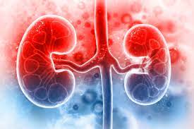 Kidney Health